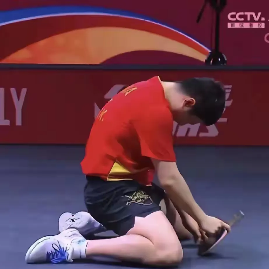 日本队鏖战奥地利队，许昕统治全场